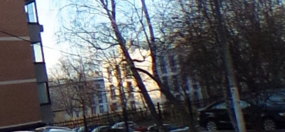 В Москве горит школа, детей эвакуировали