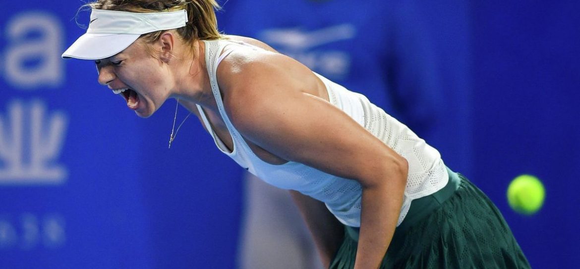 Болельщиков ожидает российско-чешский полуфинал WTA в Шэньчжэне