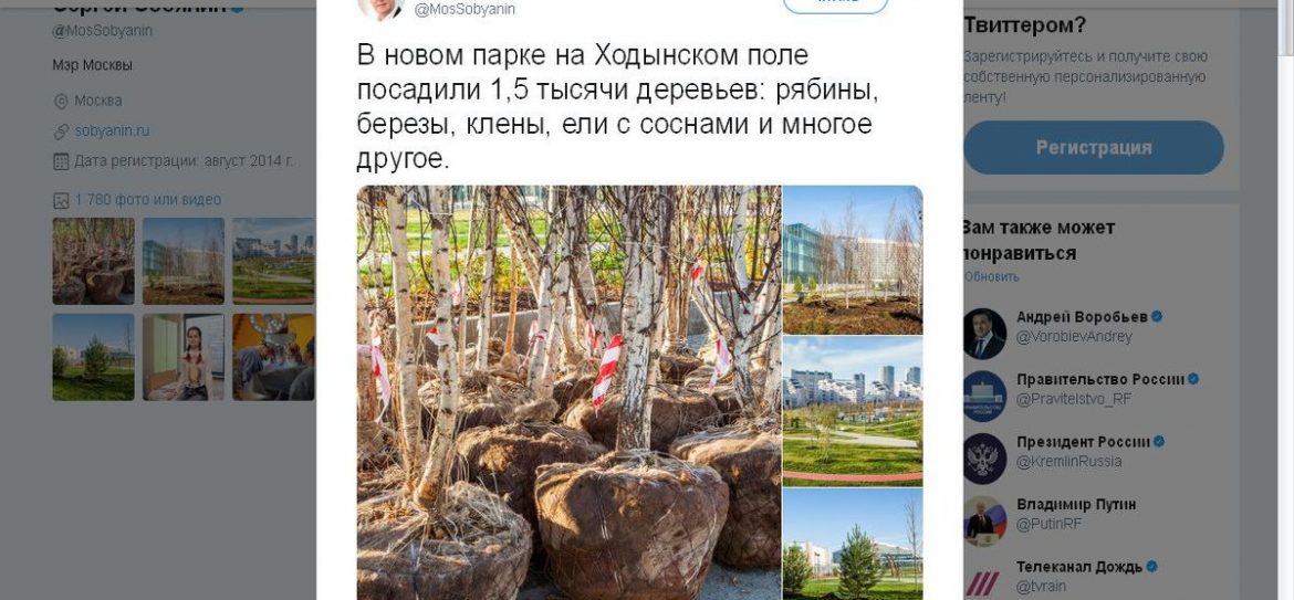 Собянин рассказал, сколько деревьев посадили на Ходынском поле
