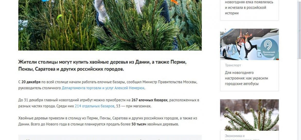 Где купить ёлку в Москве