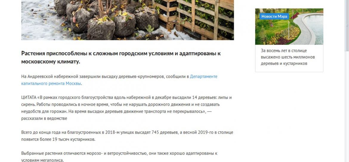 Весной 2019 года в Москве появится более 19 тысяч кустарников