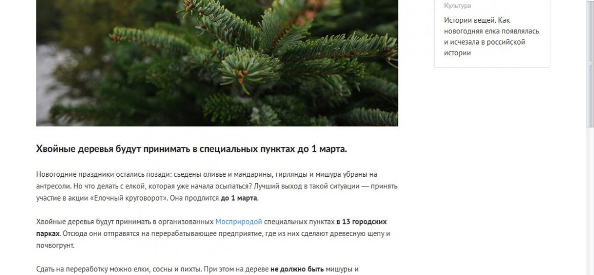 Специальные пункты по приему хвойных деревьев откроются в Москве