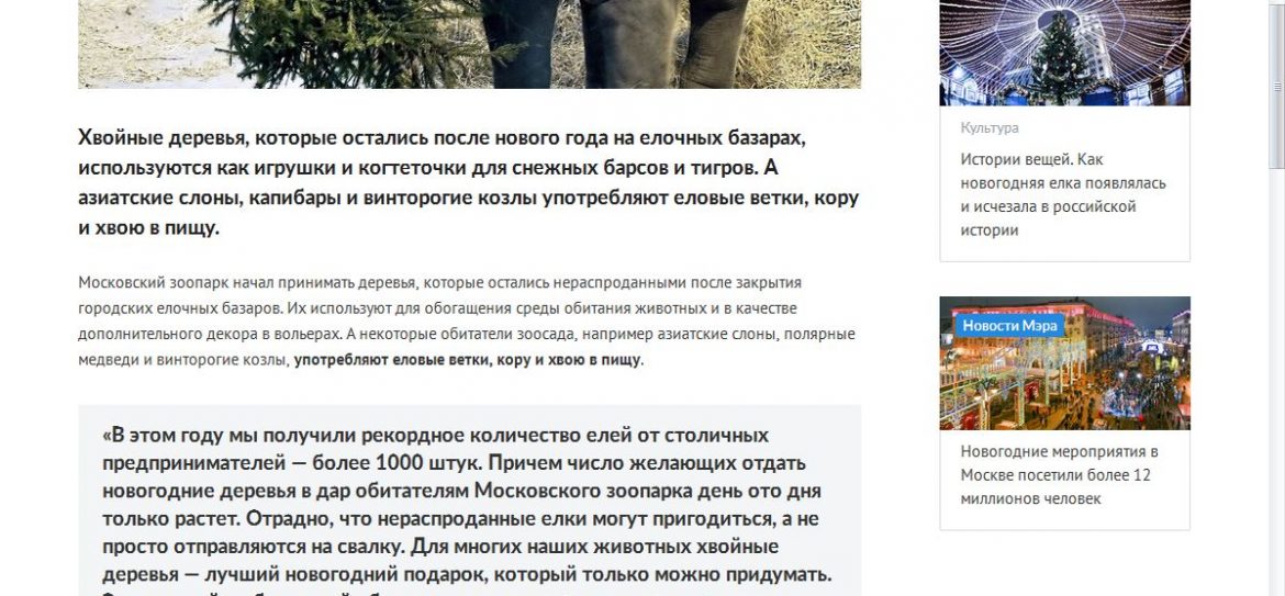 Новогодний десант отправился в Московский зоопарк