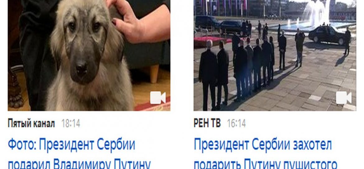 Вучич подарил Путину четырехмесячного щенка шарпланинской овчарки