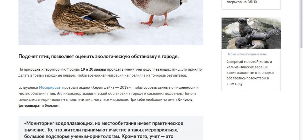 Ежегодную акцию «Серая шейка-2019» проведет Мосприрода