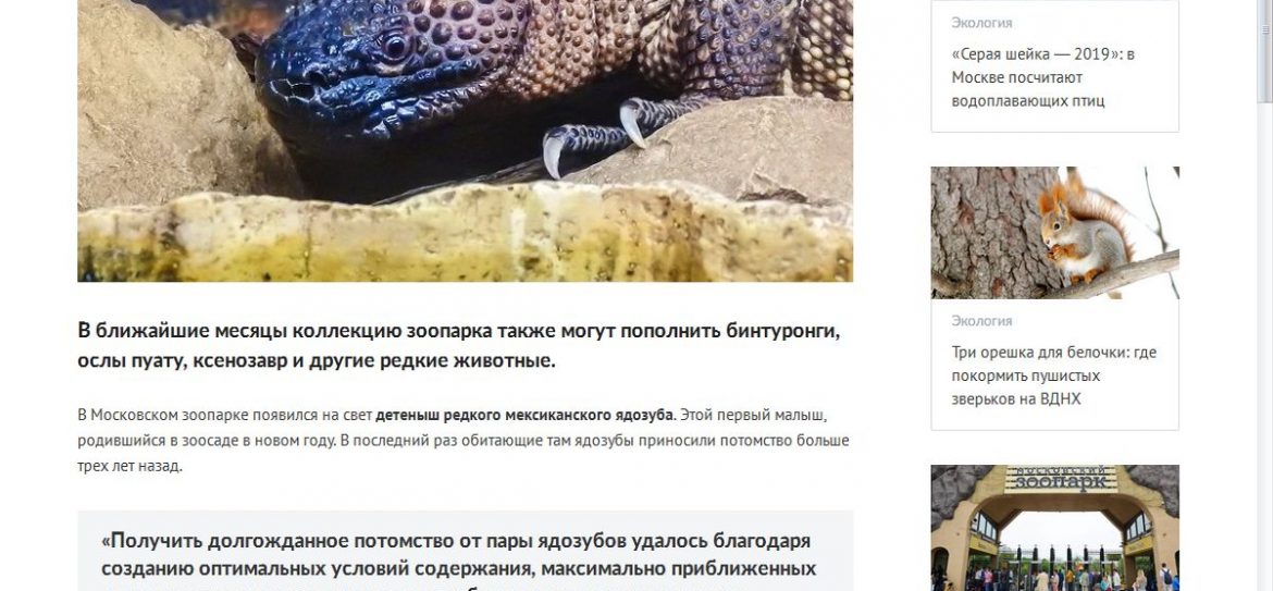 Московский зоопарк отметит день рождения мексиканского ядозуба