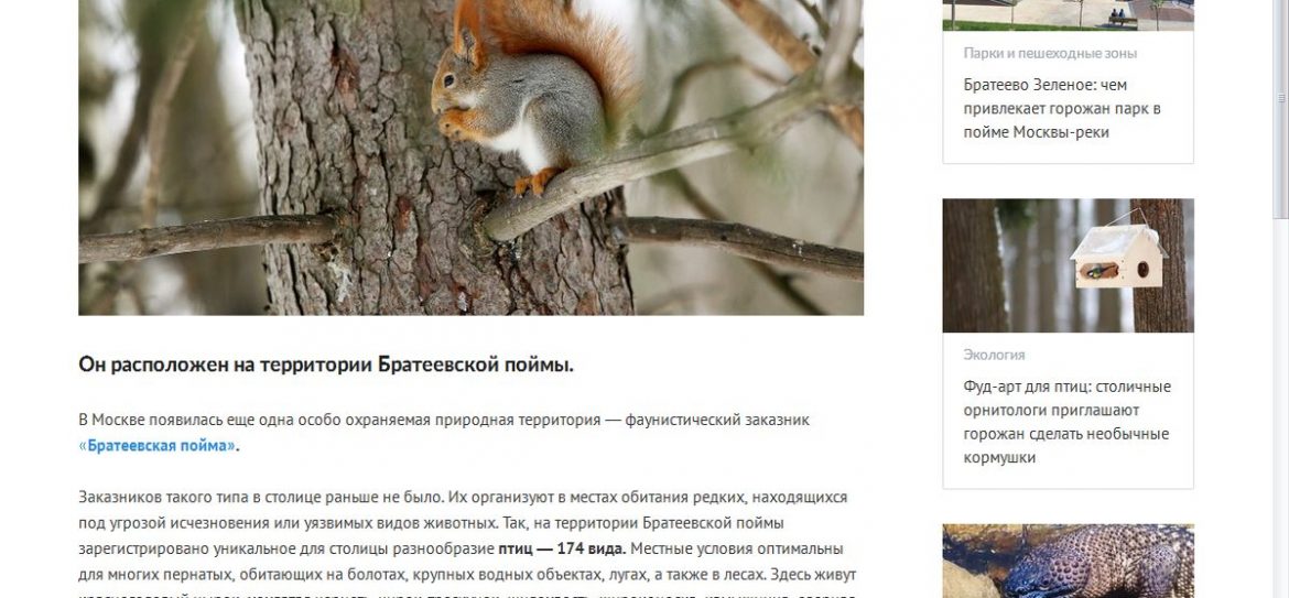 Природный заказник «Братеевская пойма» создан в ЮАО Москвы