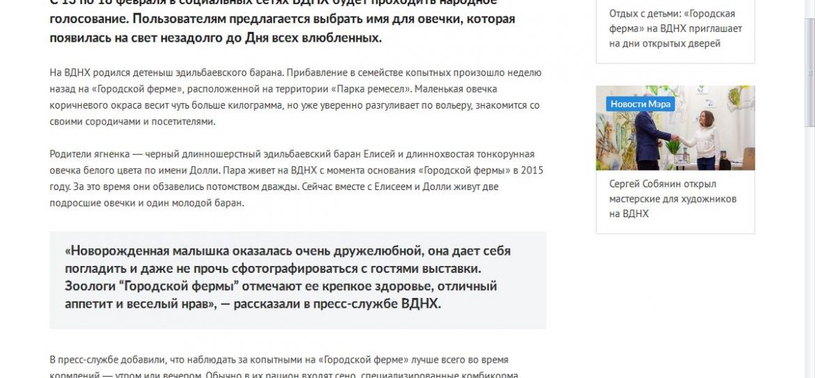 В Москве для новорожденного эдильбаевского барана ищут подходящее имя