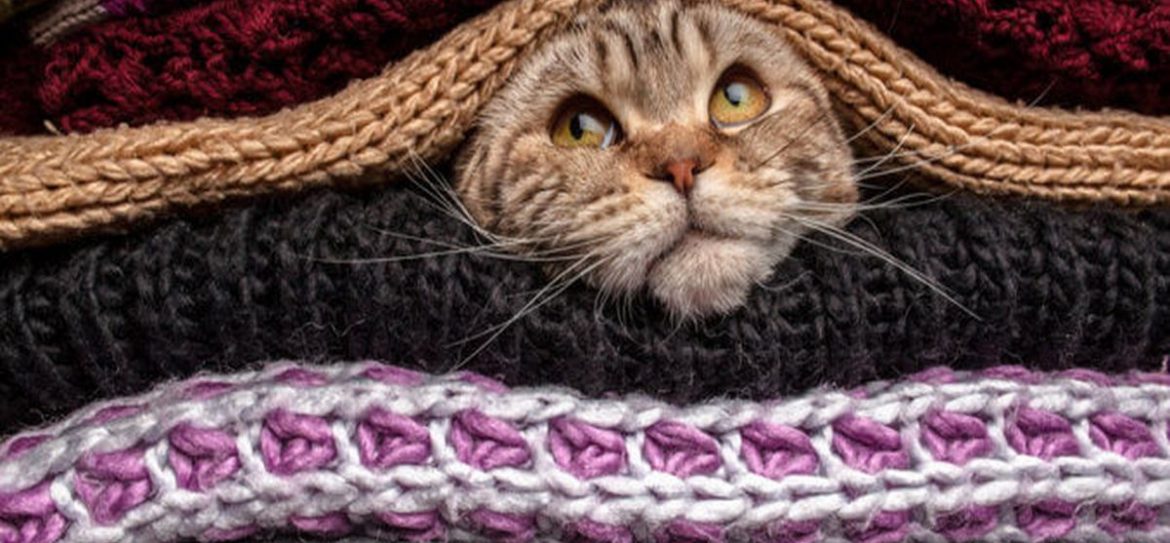 Прошедший июль стал самым холодным в Москве с 2001 года