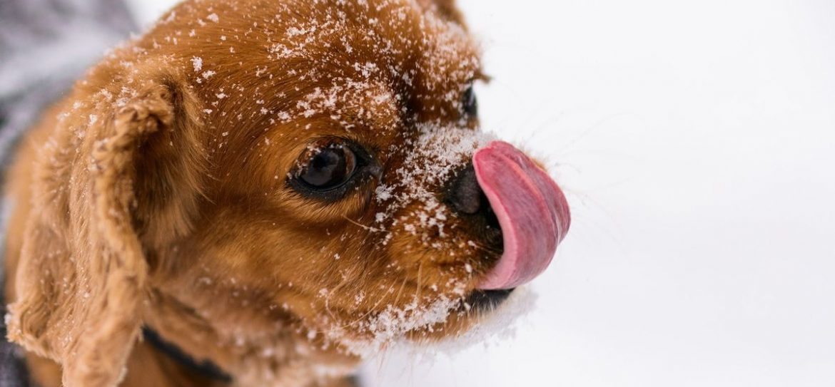 В Москве ожидается похолодание до трех градусов тепла